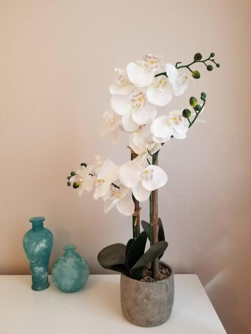 Nice And Cozy. Sleeps 5. Apartment Chicago Ngoại thất bức ảnh